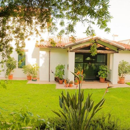 Villa Aurora Olbia Extérieur photo