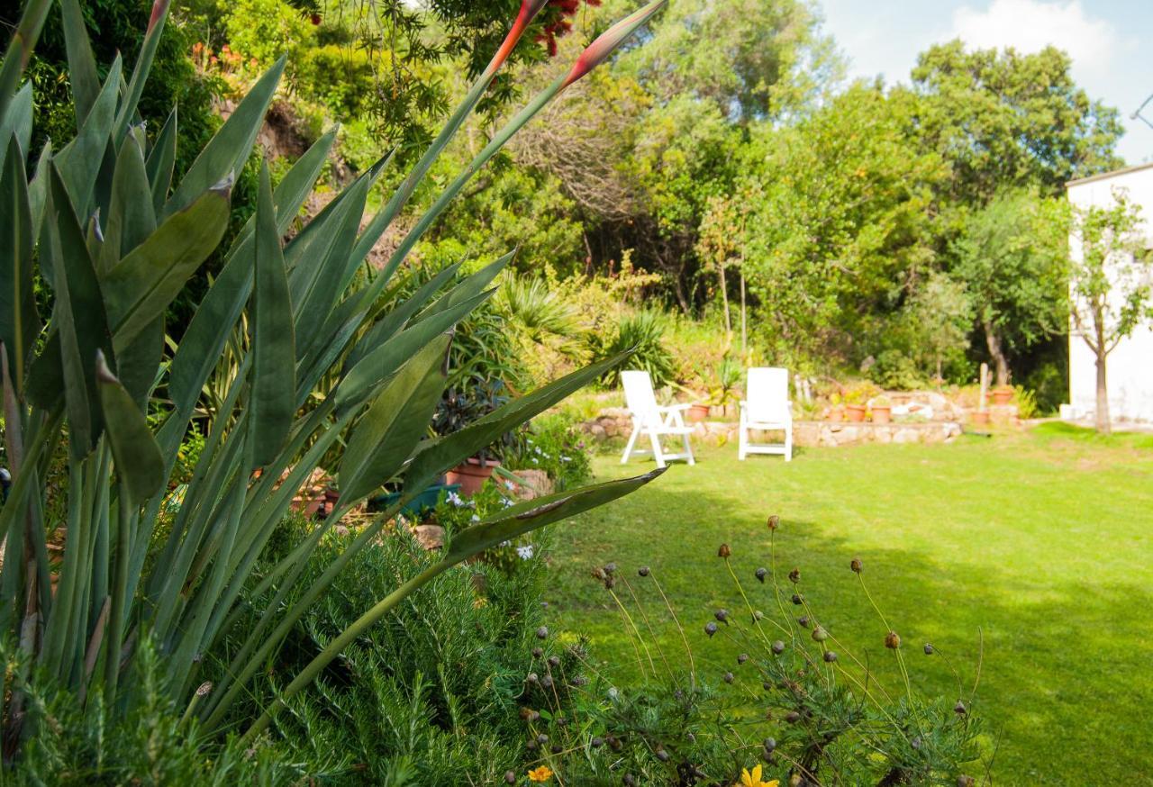 Villa Aurora Olbia Extérieur photo